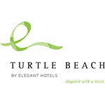 Turtle beach