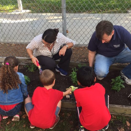 SNG Garden Project